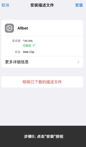 欧博iOS应用安装流程图示6