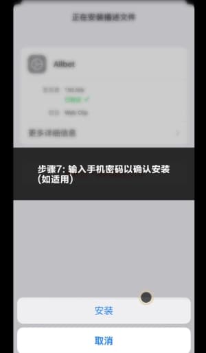 欧博iOS应用安装流程图示7